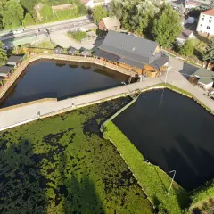 Najlepsze miejsca, gdzie zjeść w Zwierzyńcu – odkryj lokalne smaki