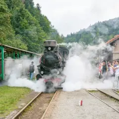 Parowóz wydaje kłęby pary na tle zielonych Bieszczadów. Tłum ludzi czeka na przejażdżkę zabytkową kolejką.