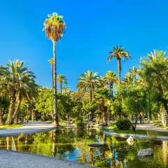 Elche miasto, oaza zieleni z licznymi palmami i spokojnym stawem, gdzie odbija się błękitne niebo.