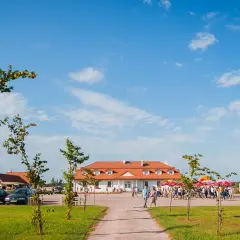 Najlepsze atrakcje w Lubaczowie, które musisz zobaczyć podczas wizyty