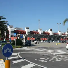 Słoneczny dzień na lotnisku Tropea. Samochody czekają przed terminalem, a palmy szumią na wietrze.