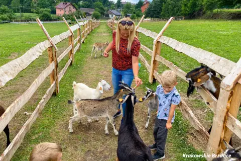 Dzieci i kobieta karmią kozy na farmie. Wesołe chwile na **petting zoo** wśród zieleni i zwierząt.