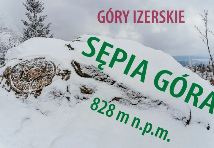 Pokryta śniegiem Sępia Góra w Górach Izerskich, z widocznym znakiem szczytu i wysokością 828 m n.p.m.
