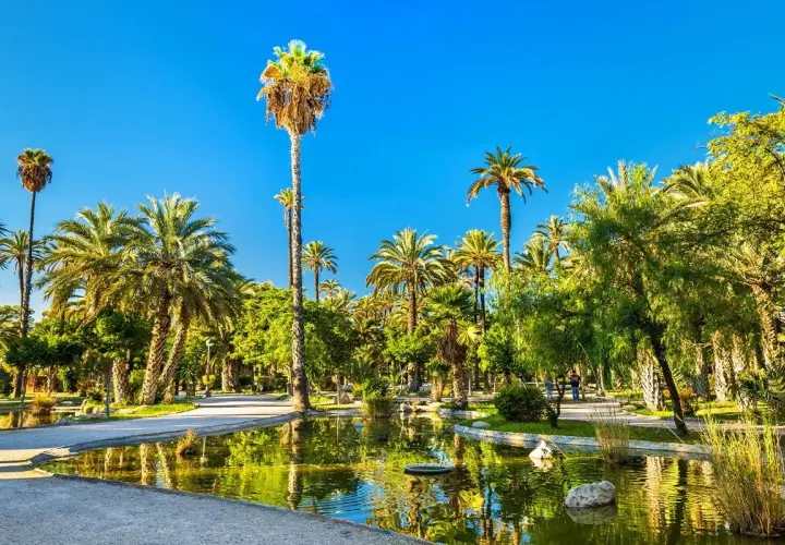 Elche miasto, oaza zieleni z licznymi palmami i spokojnym stawem, gdzie odbija się błękitne niebo.