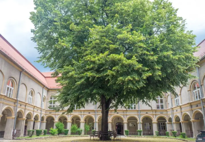 Najciekawsze atrakcje w Krapkowicach, które musisz zobaczyć