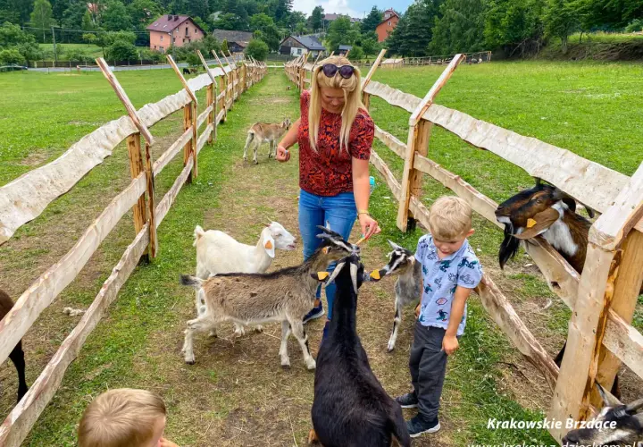 Dzieci i kobieta karmią kozy na farmie. Wesołe chwile na **petting zoo** wśród zieleni i zwierząt.