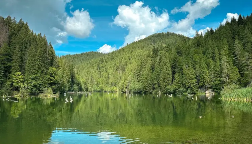 Spokojne jezioro w rumuńskich górach, otoczone gęstym lasem iglastym. Woda odbija niebo z białymi chmurami.