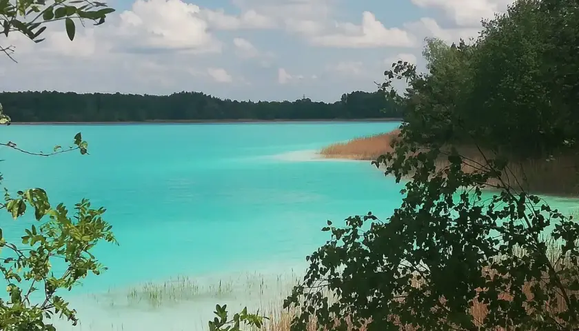 Turkusowe jezioro w Koninie, otoczone trzcinami i zielenią, z błękitnym niebem i białymi chmurami.