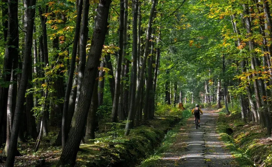 Sosnówka na spokojnie - zalew, kaplica i rodzinne trasy
