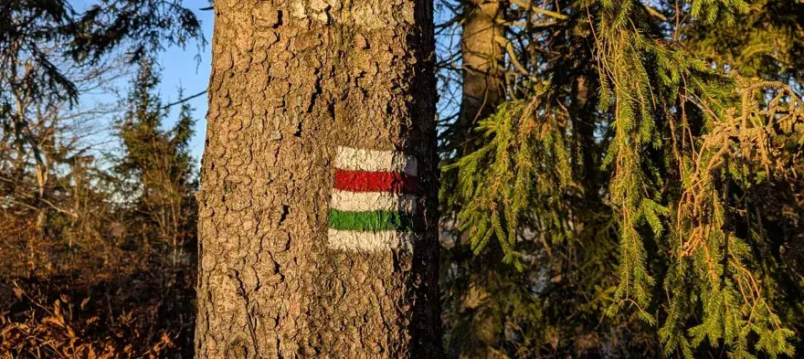 Wielka Sowa którym szlakiem – najkrótsze i najłatwiejsze trasy