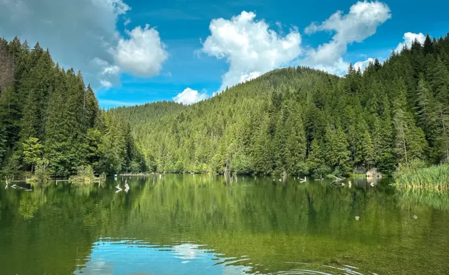 Góry Rumunii z dziećmi - najlepsze miejsca na pierwszy wyjazd