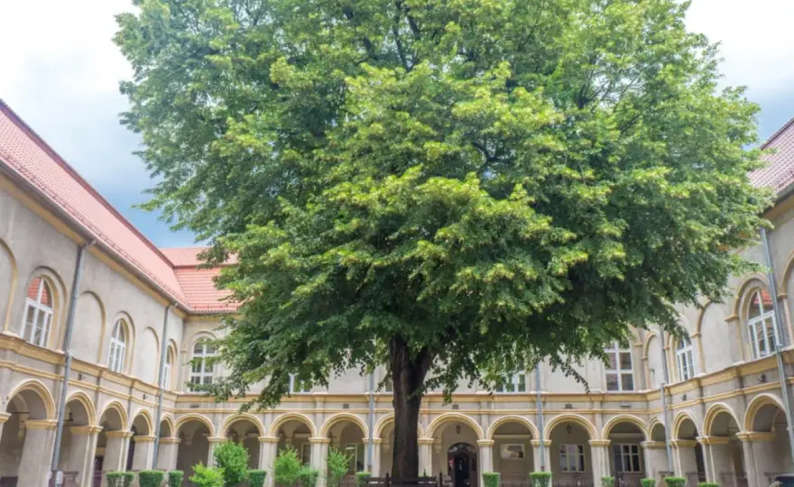 Najciekawsze atrakcje w Krapkowicach, które musisz zobaczyć