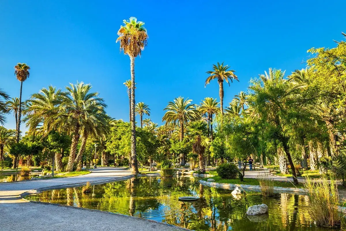Elche miasto, oaza zieleni z licznymi palmami i spokojnym stawem, gdzie odbija się błękitne niebo.